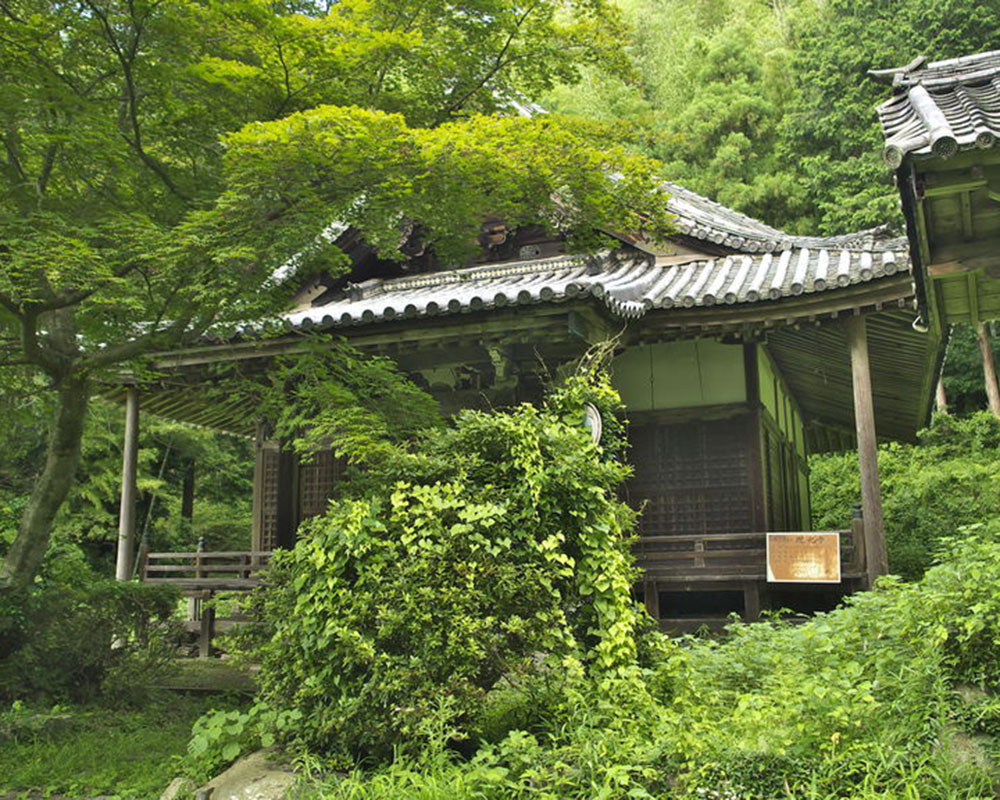 現光寺（げんこうじ）