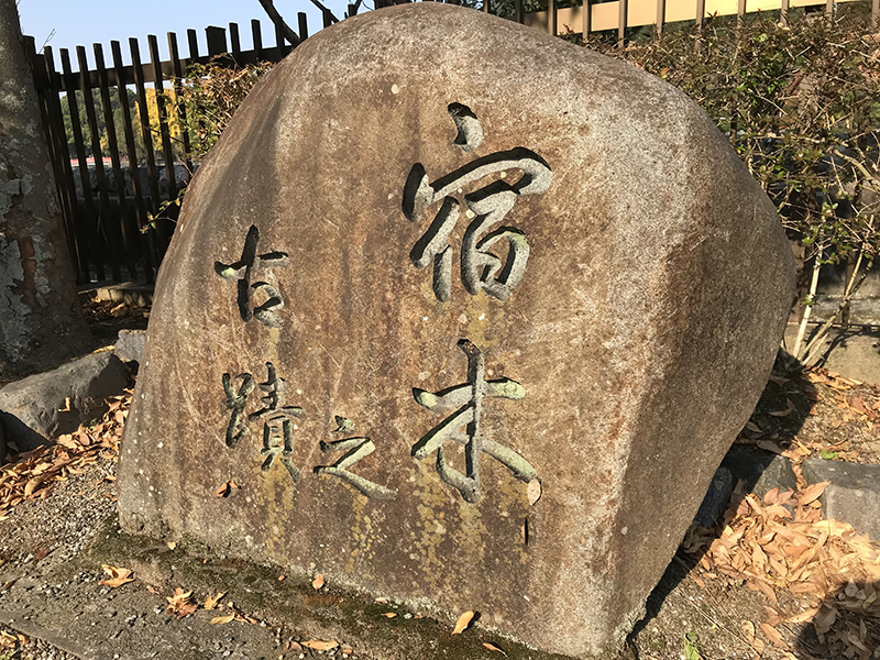 宿木の古跡