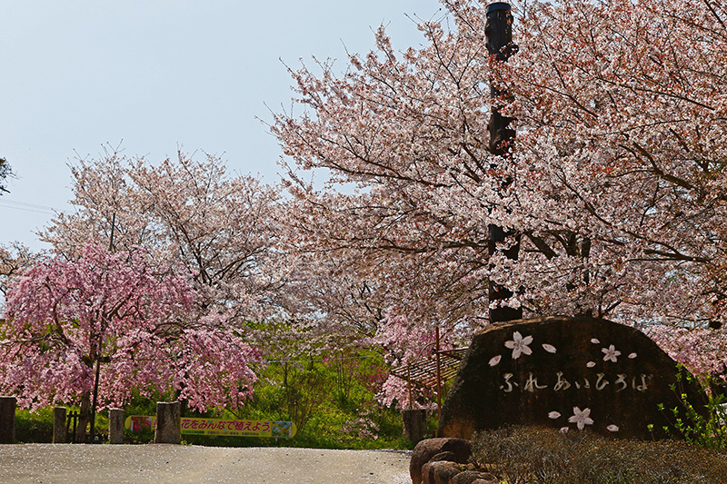 笠置キャンプ場